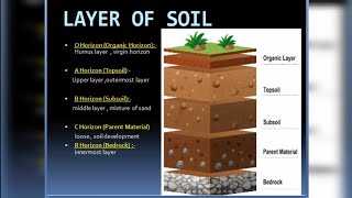 Soil  Unlocking the Secrets of Soil Functions and Layers Explained [upl. by Attennek]