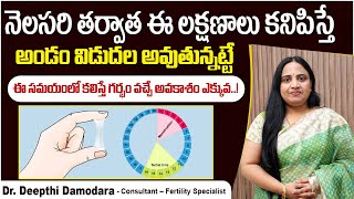 అండం విడుదల లక్షణాలు  How to Calculate Ovulation Day in Telugu  Fertile Days  Oasis Fertility [upl. by Naujaj]