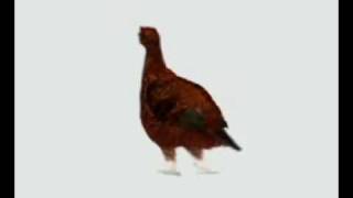 Famous Grouse TV ad  Something A Bit Special [upl. by Orr658]