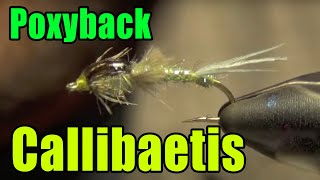 Poxyback Callibaetis  Best Lake Stillwater Mayfly Fly Tying  Mike Mercer Fly Pattern [upl. by Lladnarc574]