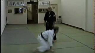 Professors Sig Kufferath doing Nage techniques [upl. by Templer]