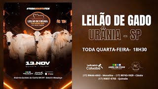 LEILÃO DE URÂNIA SP  13112024 [upl. by Dudley]