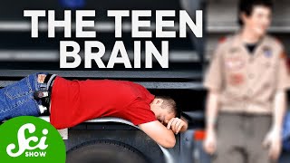 How Teenagers Brains Are Actually Wired Differently [upl. by Humo]