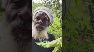 😲77yo Rastafarian reveals SECRET to his perfect HEALTH🍈 FULL VIDEO in description Noni [upl. by Arawaj]