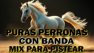 Lo Mejor Puras Perronas CON BANDA MIX  Musica de Banda Para Pistear 2024 [upl. by Conyers]