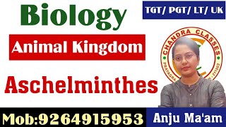 PHYLUM ASCHELMINTHES  ANIMAL KINGDOM  LTTGTPGT BIOLOGY  BY ANJU MAM [upl. by Isewk141]