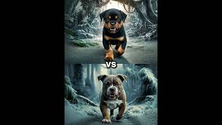 Rottweiler Puppy vs Pitbull puppy  German Shepherd Husky Doberman labrador retriever Pointer [upl. by Beaver]