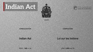 The Indian Act A Summary [upl. by Ellehcsar]