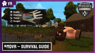 Medieval Dynasty New Settlement  Survival Guide  Meta Quest 2 3 amp PRO  VR [upl. by Lolita]