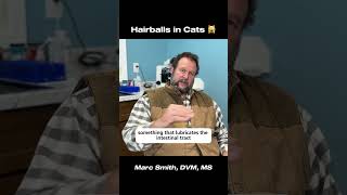 Cat Hairballs Causes amp Remedies by Marc Smith DVM MS [upl. by Renner]