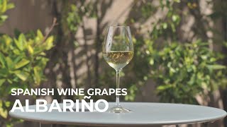 Spanish Wine Grapes Albariño [upl. by Pepe175]