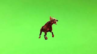 Green Screen Zombie Dog [upl. by Elnar]