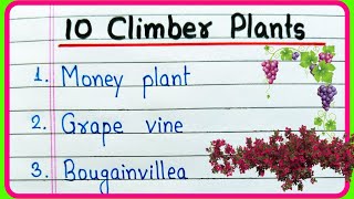 10 Climber Plants Name  Climbers Name  Climber Plants  10 Creepers Plants Name  Climbers Example [upl. by Darnell]