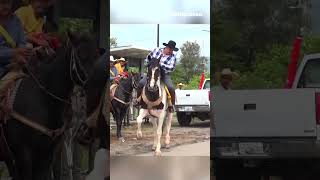 Hermoso Caballo Bailador En CABALGATA telepaisashorts [upl. by Lunseth394]