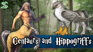 The History Of Centaurs And Hippogriffs Explained [upl. by Groark]