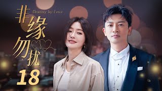 【ENG SUB】《非缘勿扰》 第18集 西诺给刘琳买礼物 刘琳无意撞见前男友 （主演：苏有朋、秦岚、熊乃瑾、谭俊彦 ）【CCTV电视剧】 [upl. by Kevin]