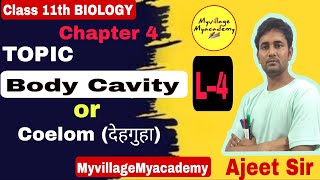 देहगुहा Body Cavity Or Coelom। By Ajeet Sir animalkingdomclass11 myvillagemyacademy [upl. by Suidualc375]