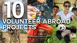 10 LIFE CHANGING VOLUNTEER ABROAD EXPERIENCES [upl. by Otilia676]