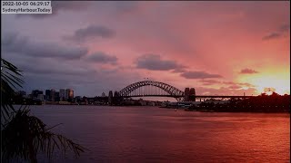 The Not Our King and Queen came to see why we love Sydney This is Sydney Harbour Australia LIVE Cam [upl. by Rohpotsirhc]