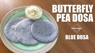 Butterfly Pea DosaBlue DosaButterfly Pea RecipesButterfly Pea BenefitsHealthy RecipesEP17 [upl. by Llehcnom727]