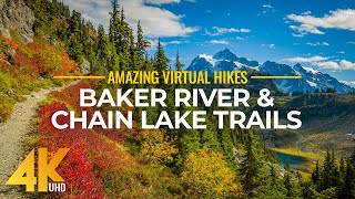 4K Virtual Hike Near River through the Forest  Baker River Trail amp Chain Lake Trail [upl. by Arual383]