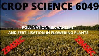 POLLINATION MECHANISMS AND DOUBLE FERTILIZATION IN PLANTS [upl. by Odnamla]