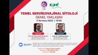 Temel Servikovajinal Sitoloji Genel Yaklaşım [upl. by Drareg]