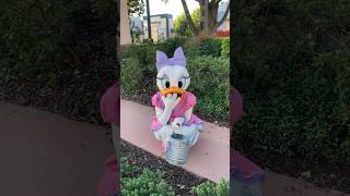 Daisy’s Garden  Disney’s Hollywood Studios  Daisy Duck  Walt Disney World [upl. by Steven91]