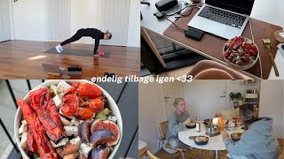 vlog to dage i mit liv med nye og spændende projekter [upl. by Elisa]