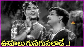 Oohalu Gusagusalade Video Song  Bandipotu Telugu Movie Songs  NTR [upl. by Akcir]