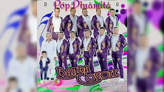 Mix Dinamita  Banda Coyote De Sabanillas gro [upl. by Llewsor]