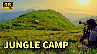 Jungle Camp  Best Wildlife Combo Package  All in One Package  4K UHD [upl. by Niletak278]