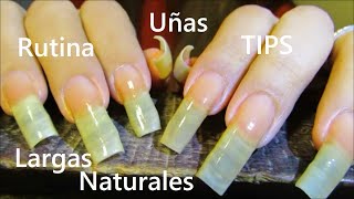 👀 Como Crecer 💅 Mantener Uñas Largas Naturales quotSuper Largasquot [upl. by Eagle43]