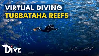 TUBBATAHA REEF Virtual Adventure at UNESCO World Heritage Site with Mama Ranger  THE DIVE [upl. by Sup]