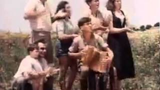 Hava Nagila  Famous Israeli jewish folk song  authentic dance [upl. by Ilan]