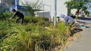 Heres why we clean sidewalks For your safety clear away weeds that invade sidewalks [upl. by Stark]