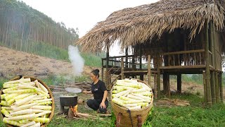 Completing the safe house the single mother went into the forest to find bamboo shoots for food [upl. by Fernyak273]