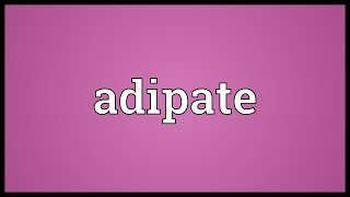 Adipate Meaning [upl. by Bone431]