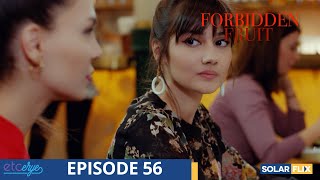 Forbidden Fruit Episode 56  FULL EPISODE  TAGALOG DUB  Turkish Drama [upl. by Oelgnaed]