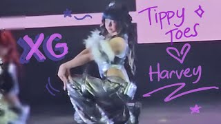 🐺👽 Tippy Toes  XG 🦄 HARVEY 💜 fancam [upl. by Placido]