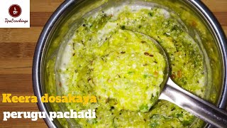 Keera dosakaya perugu Pachadi  keera dosakaya recipe  simple and tasty keera dosakaya recipe [upl. by Marr]