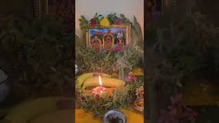 Prabodhini ekadashi subhakankshalu [upl. by Nillad]