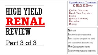 Renal Pance Review Part 3 of 3 [upl. by Alyaj91]