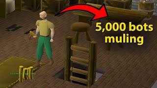 Jagex has Given F2P RuneScape to the Botters [upl. by Enitnemelc]