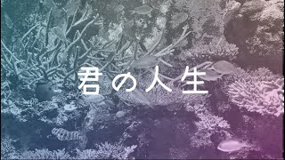 君の人生  Sinsea feat初音ミク [upl. by Cordeelia]