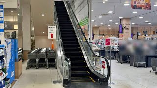 【起動ありエスカレーター】イオンモール東久留米 ノースコート上り（FUJITEC）EscalatorAEON MALL Higashikurume North Court [upl. by Imuy]