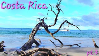 Costa Rica Tamarindo Catamaran and hotel tour [upl. by Baniaz3]