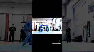 IL VOVINAM A TORINO CON GLI AMICI DEL VIET VO DAO 💪 UNA BELLA GIORNATA 💪🇮🇹 [upl. by Aileduab]