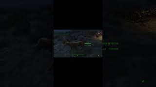 Fallout 4  2 More Dogs For Spectacle Island [upl. by Anirec]