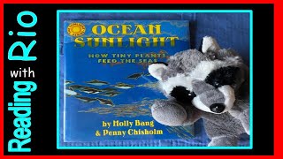 Ocean Sunlight How Tiny Plants Feed The Seas Book read aloud by Molly Bang and Penny Chisholm [upl. by Parker]